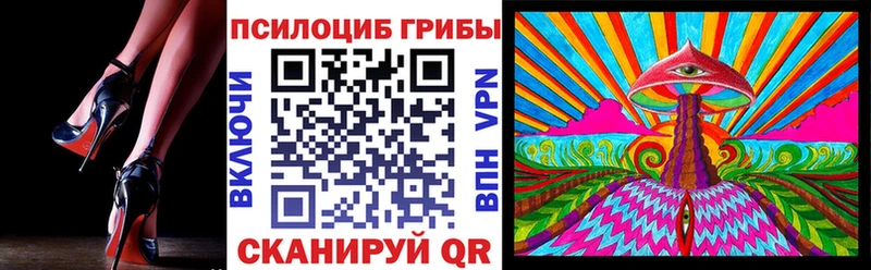 дарк нет как зайти  Обнинск  Галлюциногенные грибы GOLDEN TEACHER 