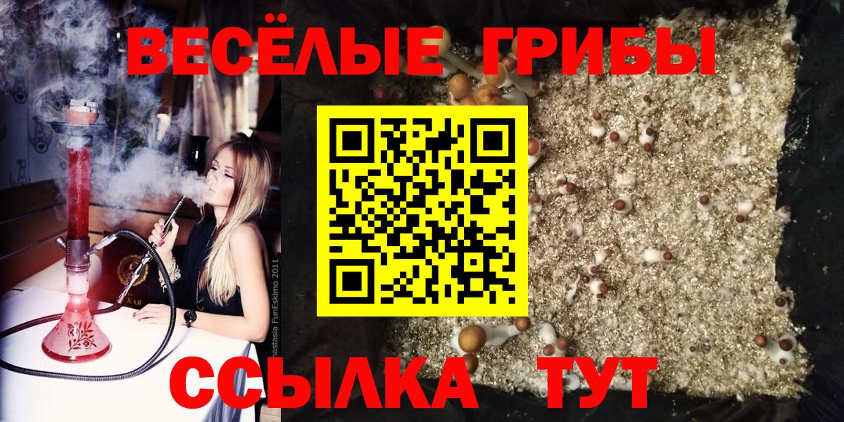 Псилоцибиновые грибы Psilocybe  где купить наркотик  Вход с VPN  Обнинск  Псилоцибиновые грибы GOLDEN TEACHER 