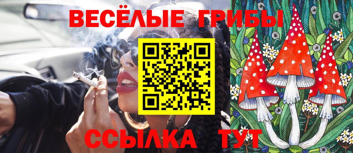 Галлюциногенные грибы мицелий Обнинск